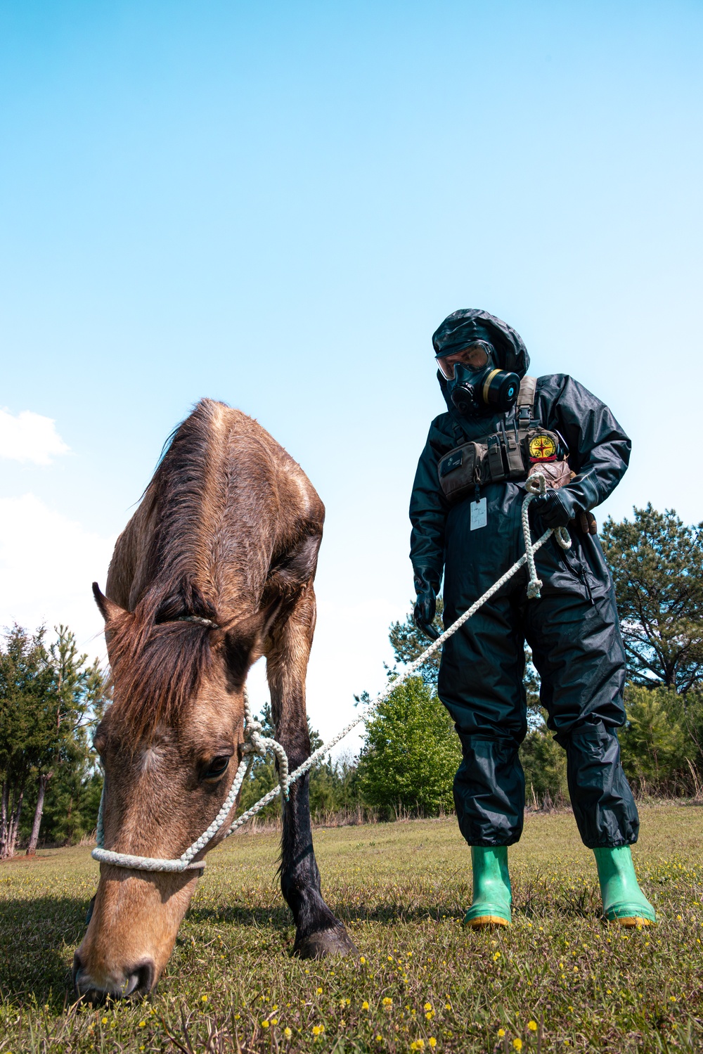 CBIRF Marines Conduct Animal Decontamination Training
