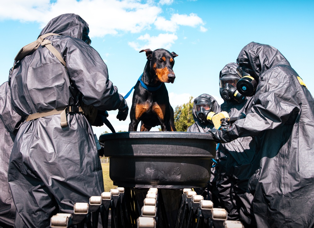 CBIRF Marines Conduct Animal Decontamination Training