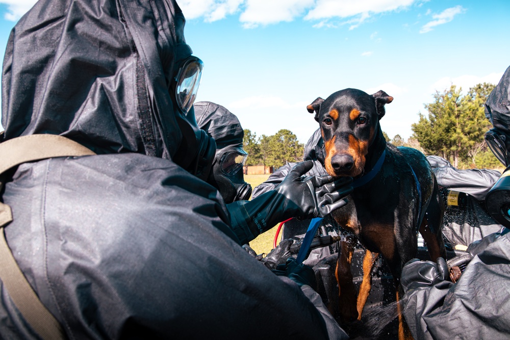 CBIRF Marines Conduct Animal Decontamination Training
