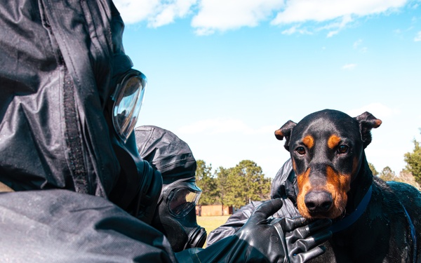CBIRF Marines Conduct Animal Decontamination Training