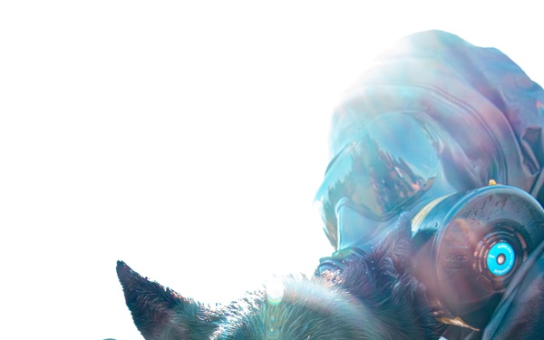 CBIRF Marines Conduct Animal Decontamination Training