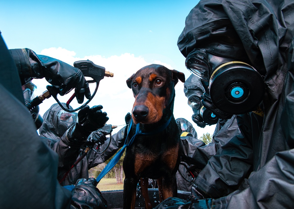 CBIRF Marines Conduct Animal Decontamination Training