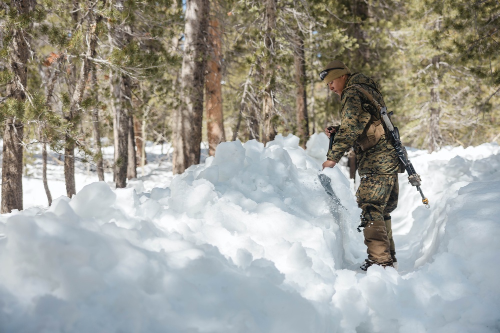 U.S. Marines with 1st Battalion, 6th Marines conduct Field Exercise during MTX 2-25