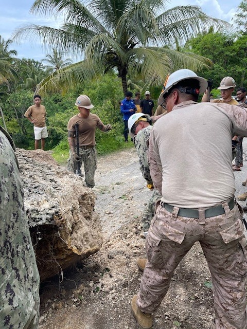 Local Humanitarian Assistance