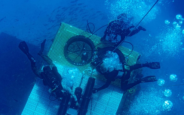 U.S. Navy SEAL Aquarius Dive Training