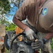 Repairs