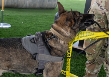 New military working dog kennel opens in CENTCOM AOR