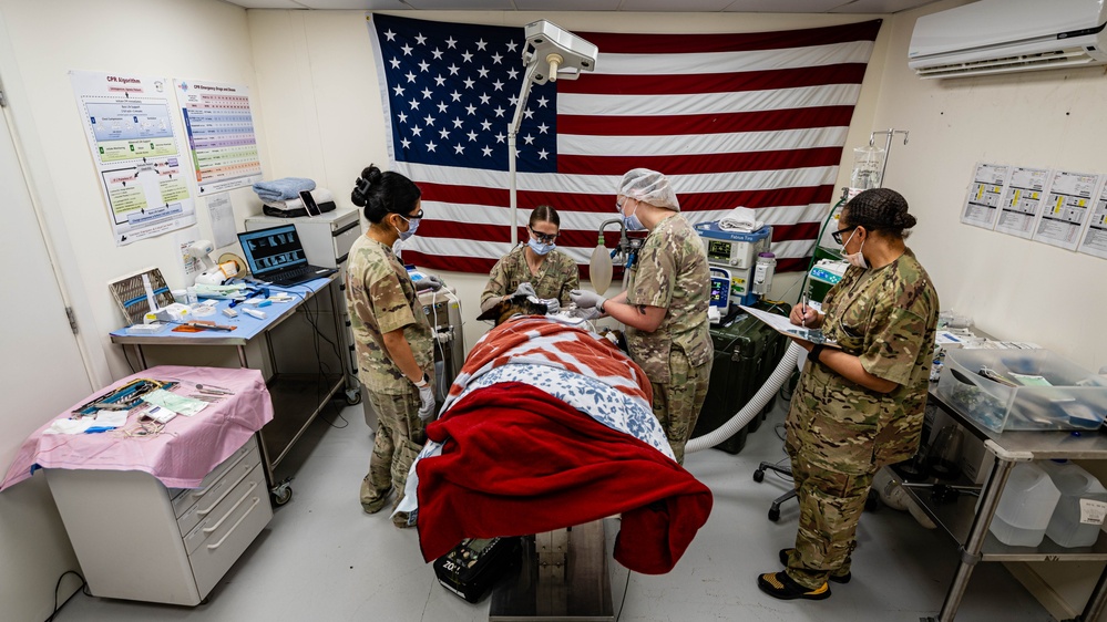 379th EMDS perform root canal procedure on military working dog