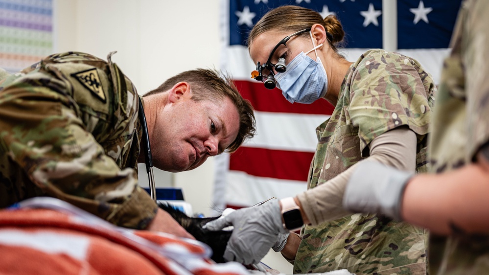 379th EMDS perform root canal procedure on military working dog
