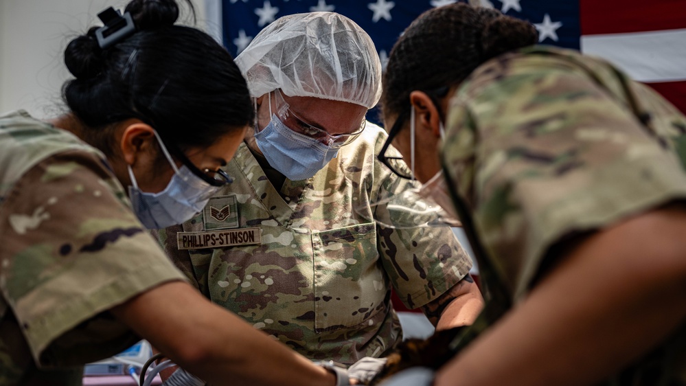 379th EMDS perform root canal procedure on military working dog