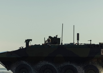 U.S. Marines with 2d Assault Amphibian Battalion, 2d Marine Division conduct ACV Testing
