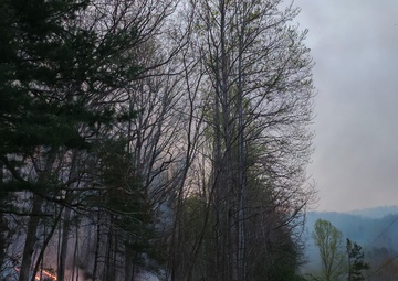 South Carolina National Guard assist the South Carolina Forestry Commission during the Table Rock Complex Wildfires