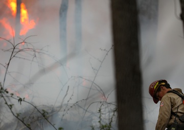 South Carolina National Guard assist the South Carolina Forestry Commission during the Table Rock Complex Wildfires