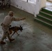 Salaknib 25 | Military Working Dog Subject Matter Expert Exchange