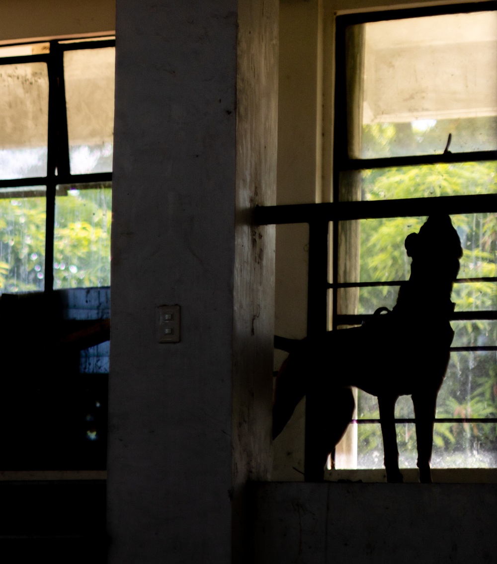 Salaknib 25 | Military Working Dog Subject Matter Expert Exchange