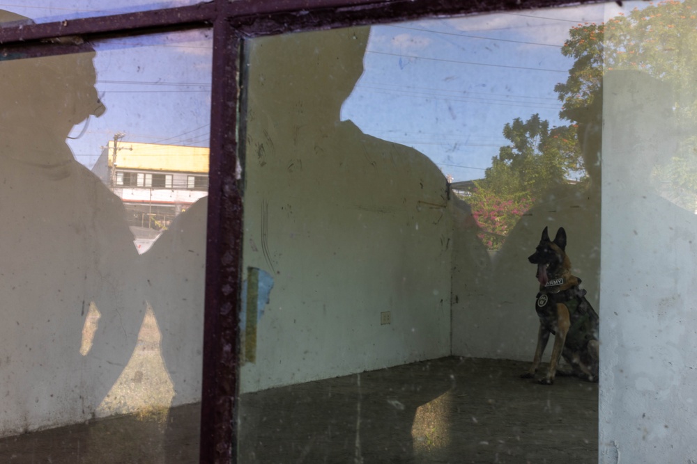 Salaknib 25 | Military Working Dog Subject Matter Expert Exchange