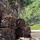 Temporary Debris Staging and Reduction Site - Temescal Canyon Road, Palisades Temporary Debris Staging and Reduction Site - Temescal Canyon Road, Palisades