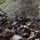 Temporary Debris Staging and Reduction Site - Temescal Canyon Road, Palisades Temporary Debris Staging and Reduction Site - Temescal Canyon Road, Palisades
