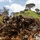 Temporary Debris Staging and Reduction Site - Temescal Canyon Road, Palisades Temporary Debris Staging and Reduction Site - Temescal Canyon Road, Palisades