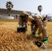 MCAS Iwakuni EOD and CBRN conduct chemical environment training with JGSDF