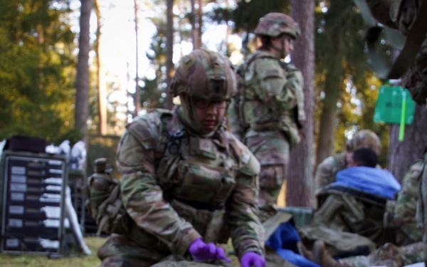 Cerberus Troop, Regiment Support Squadron conducts MASCAL exercise