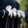 Military Funeral Honors with Funeral Escort are Conducted for U.S. Air Force Capt. Julius Fluhr, Jr. in Section 37 Military Funeral Honors with Funeral Escort are Conducted for U.S. Air Force Capt. Julius Fluhr, Jr. in Section 37