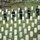 Military Funeral Honors with Funeral Escort are Conducted for U.S. Air Force Capt. Julius Fluhr, Jr. in Section 37 Military Funeral Honors with Funeral Escort are Conducted for U.S. Air Force Capt. Julius Fluhr, Jr. in Section 37