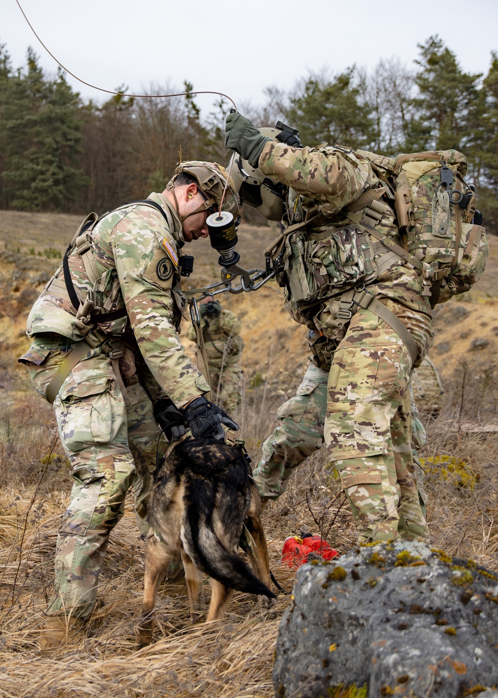 Dog Hoist Training