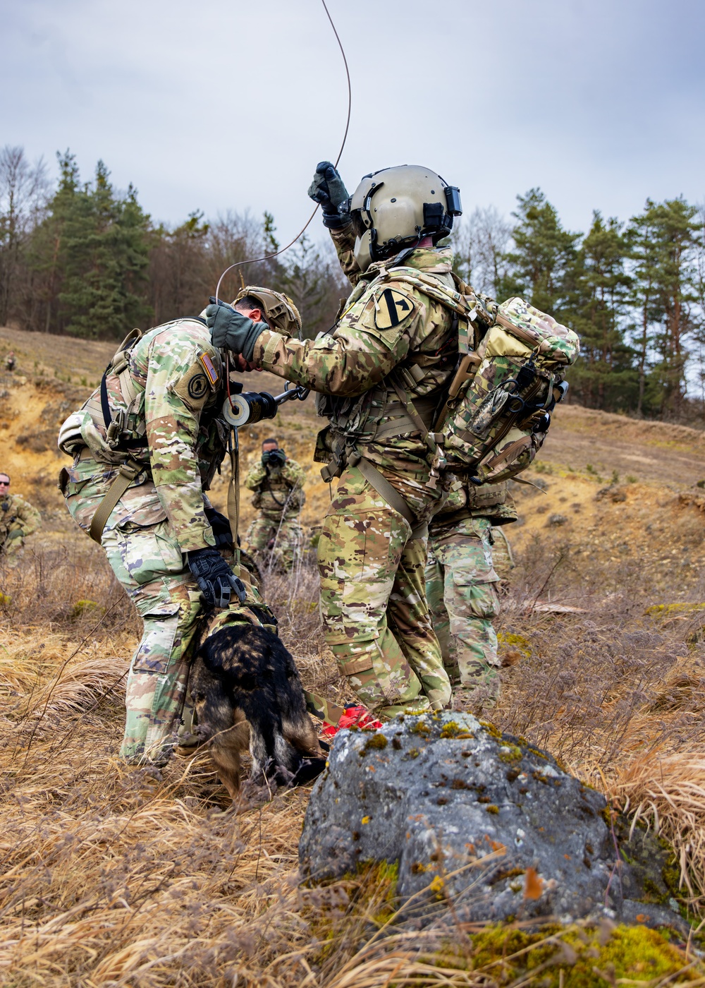 Dog Hoist Training