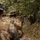 12th LCT Marines Sharpen Jungle Survival Skills