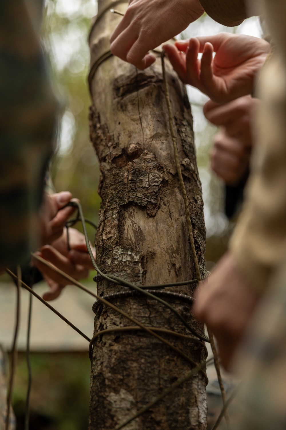 12th LCT Marines Sharpen Jungle Survival Skills