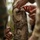 12th LCT Marines Sharpen Jungle Survival Skills