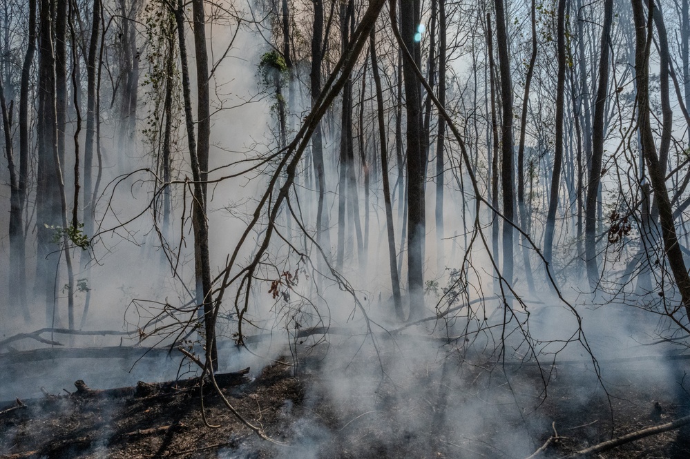 Joint Base Langley-Eustis Performs First Prescription Fire in 10 Years Increasing Biodiversity,  Soldier Safety and Training