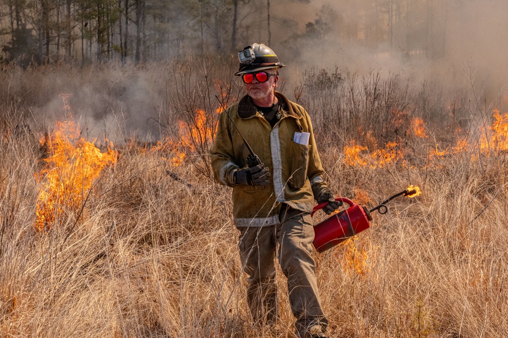 Joint Base Langley-Eustis Performs First Prescription Fire in 10 Years Increasing Biodiversity,  Soldier Safety and Training