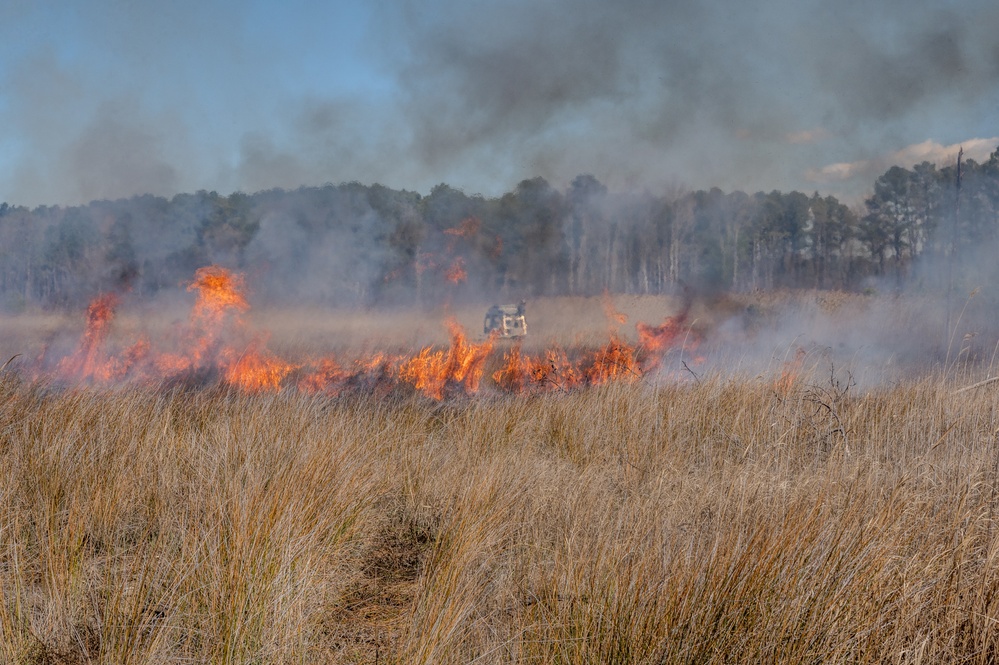 Joint Base Langley-Eustis Performs First Prescription Fire in 10 Years Increasing Biodiversity,  Soldier Safety and Training
