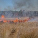 Joint Base Langley-Eustis Performs First Prescription Fire in 10 Years Increasing Biodiversity,  Soldier Safety and Training