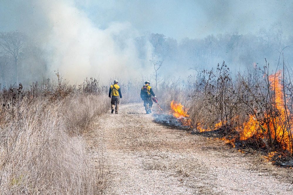 Joint Base Langley-Eustis Performs First Prescription Fire in 10 Years Increasing Biodiversity,  Soldier Safety and Training