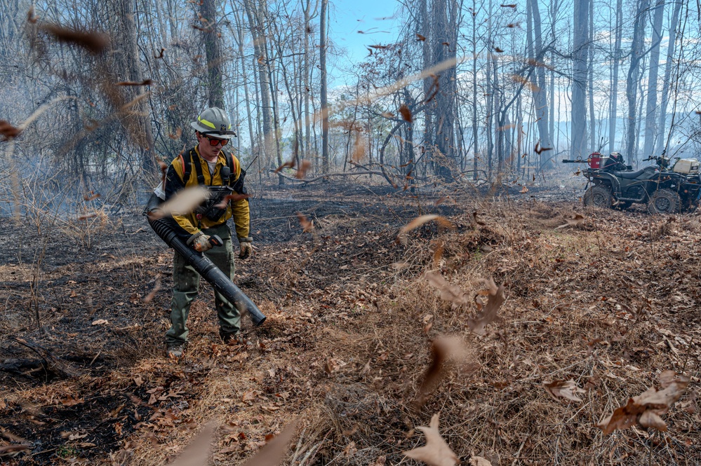 Joint Base Langley-Eustis Performs First Prescription Fire in 10 Years Increasing Biodiversity,  Soldier Safety and Training