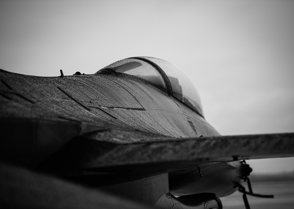 Vipers stand ready in any weather