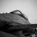 Vipers stand ready in any weather