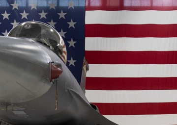 Vipers stand ready in any weather