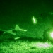 Exercise Fighting Wyvern 25-01: EOD night training