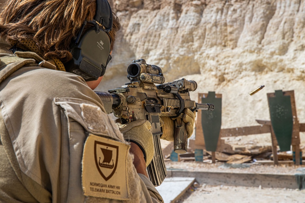 Coalition Members Conduct Weapons Training at Al Asad Air Base