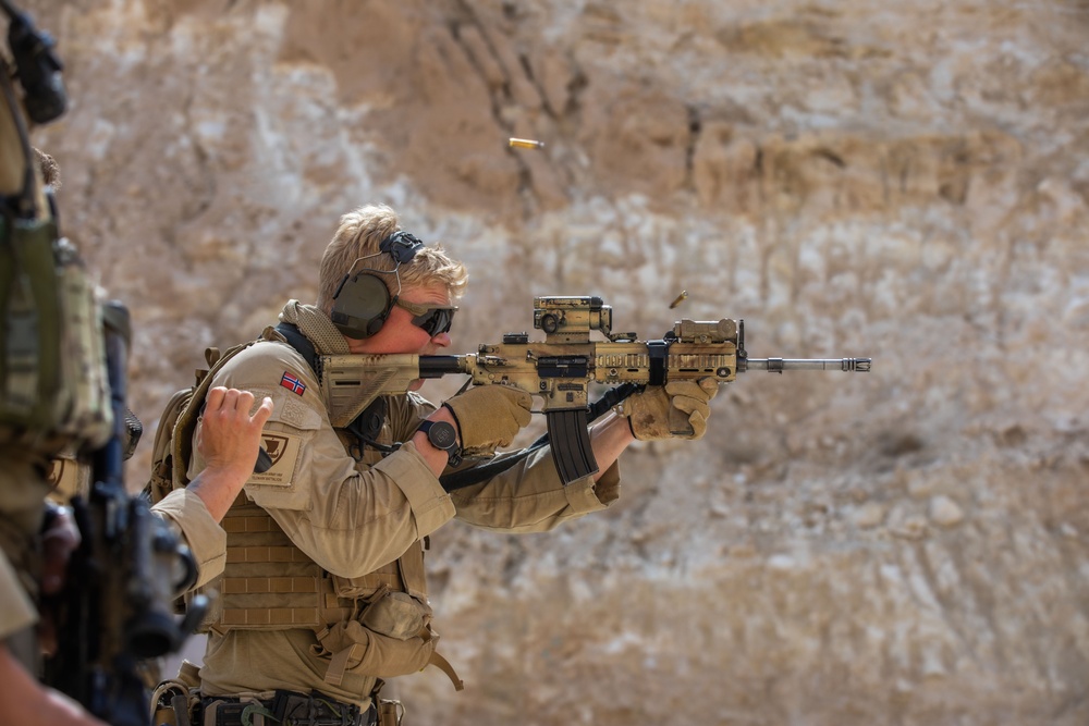 Coalition Members Conduct Weapons Training at Al Asad Air Base