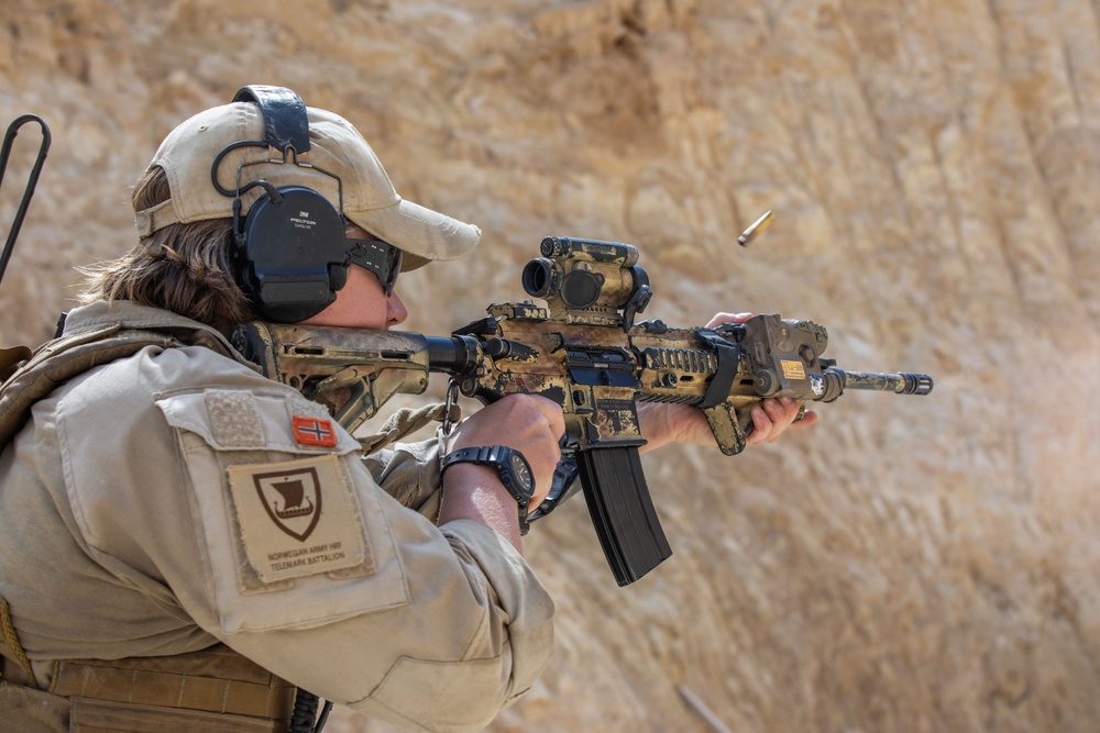 Coalition Members Conduct Weapons Training at Al Asad Air Base