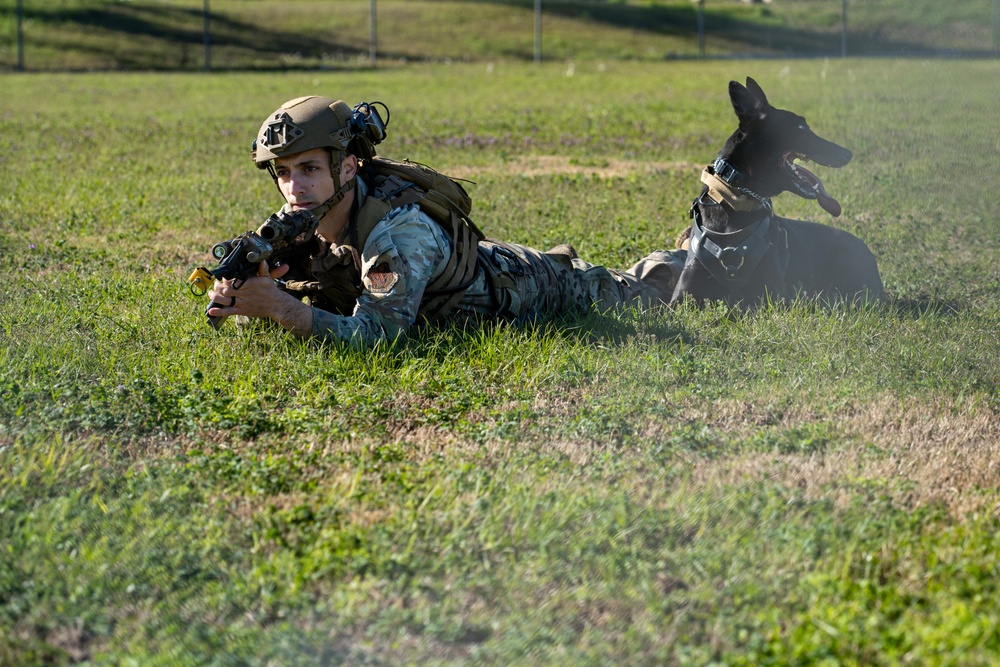 820 BDG Military Working Dog Training