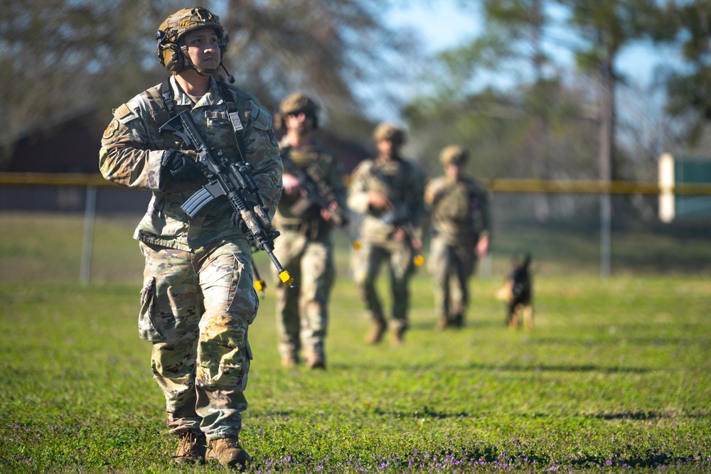 820 BDG Military Working Dog Training