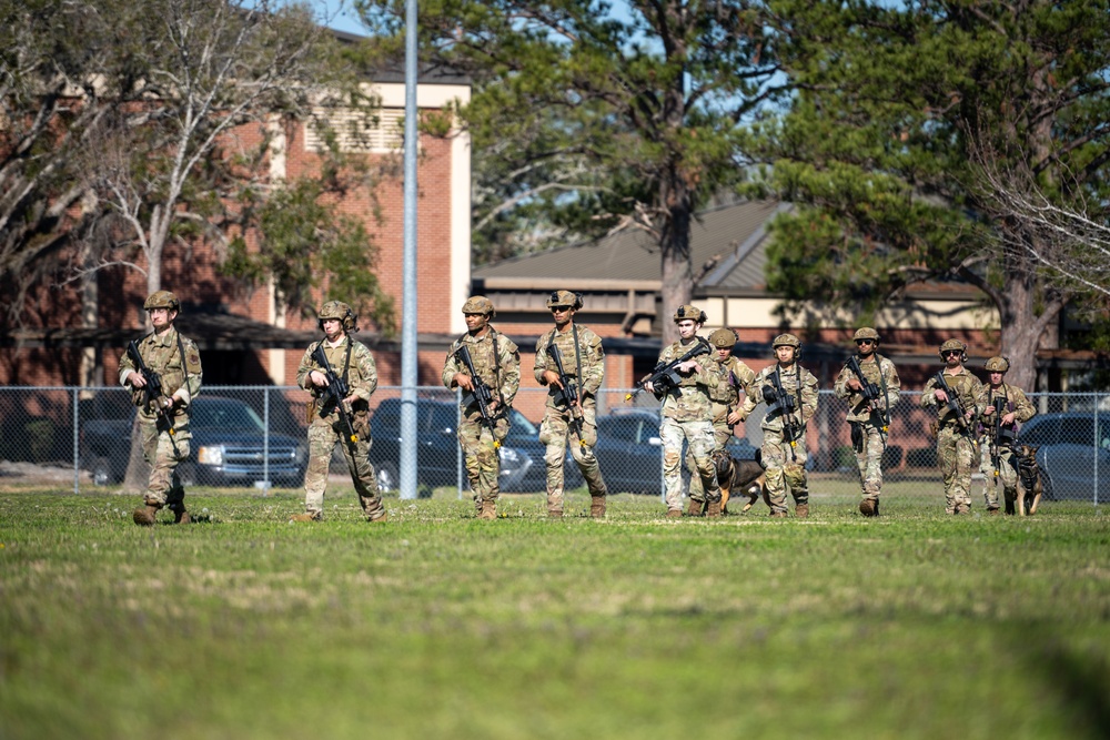 820 BDG Military Working Dog Training