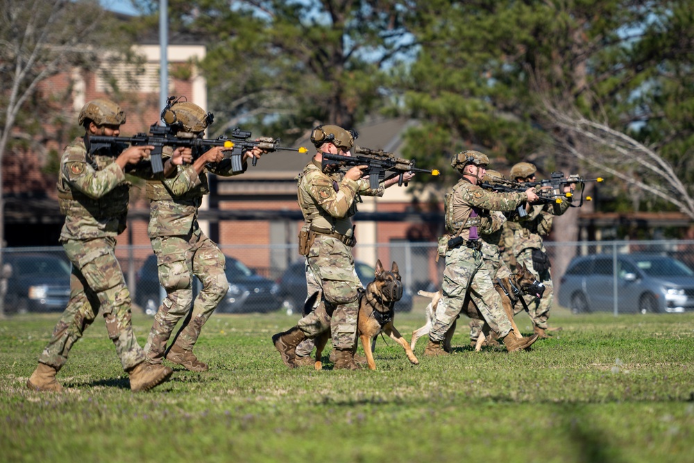 820 BDG Military Working Dog Training
