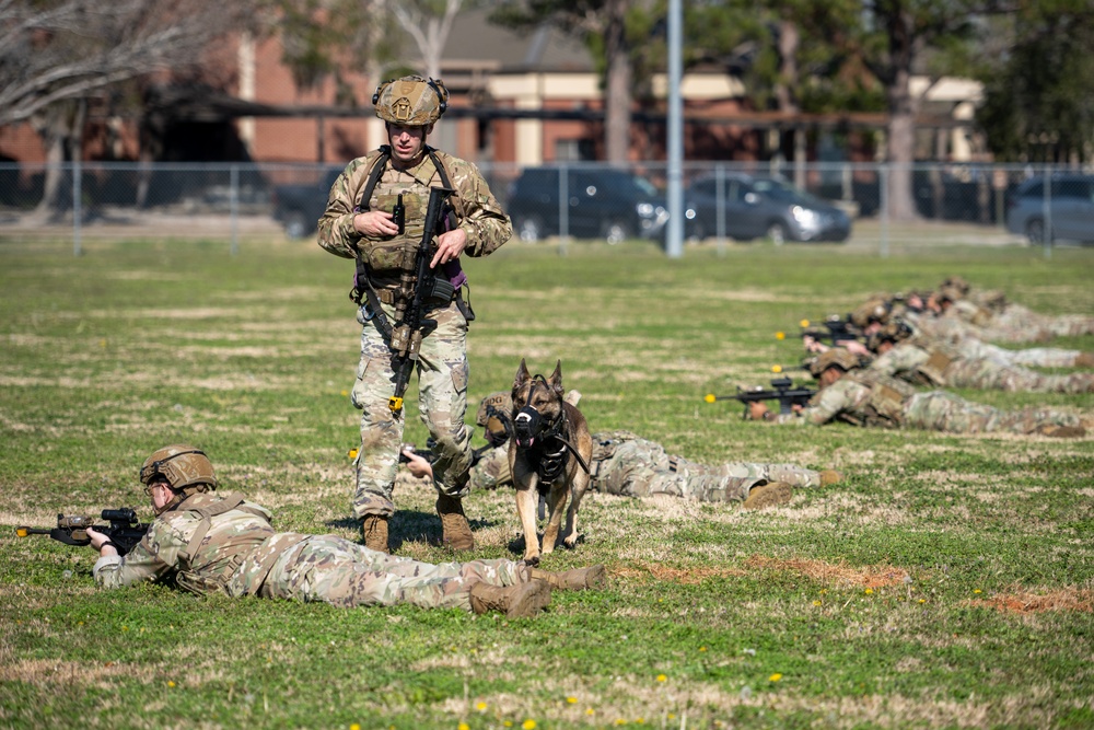 820 BDG Military Working Dog Training